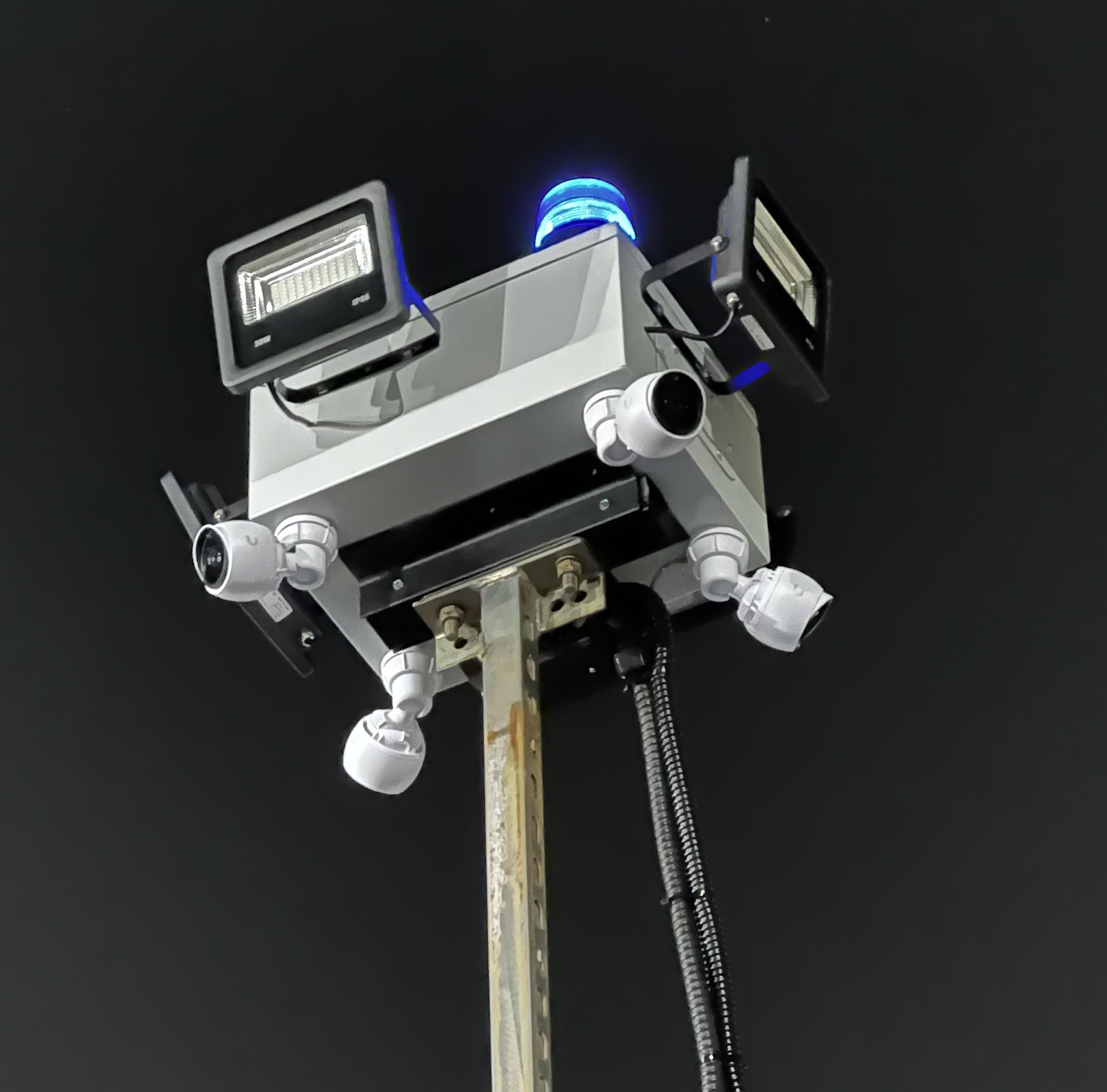 SanaSight Security System Detail